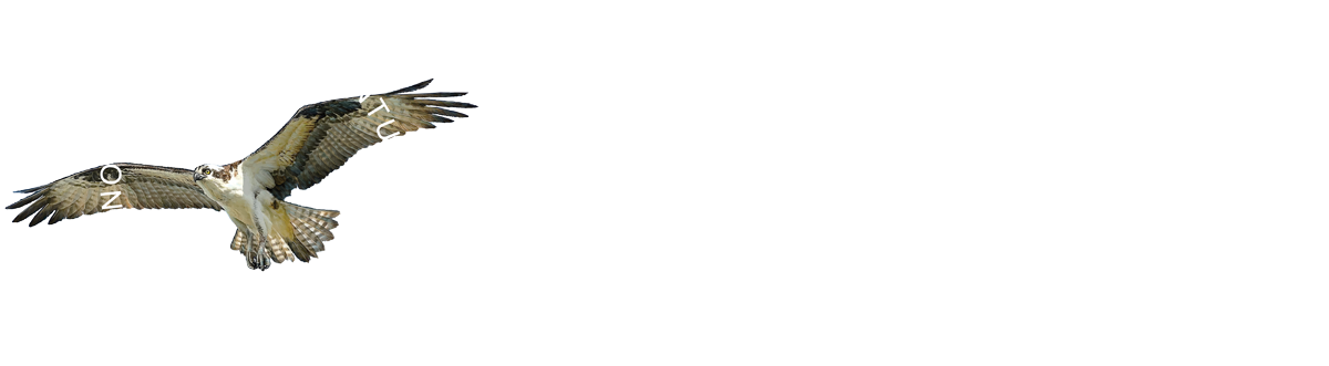 NovaNature Adventures